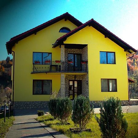Casa Olteanu Pension โมเอเชอ เด จอส ภายนอก รูปภาพ