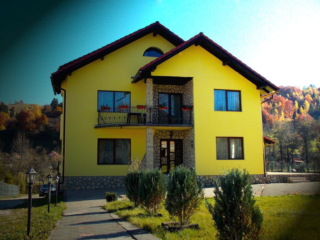 Casa Olteanu Pension โมเอเชอ เด จอส ภายนอก รูปภาพ