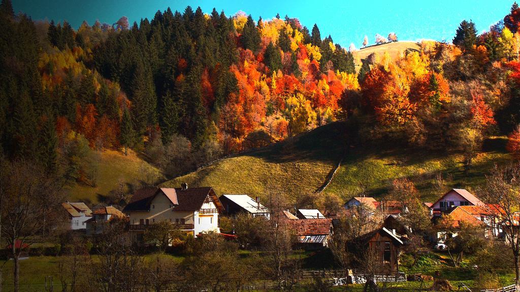 Casa Olteanu Pension โมเอเชอ เด จอส ภายนอก รูปภาพ